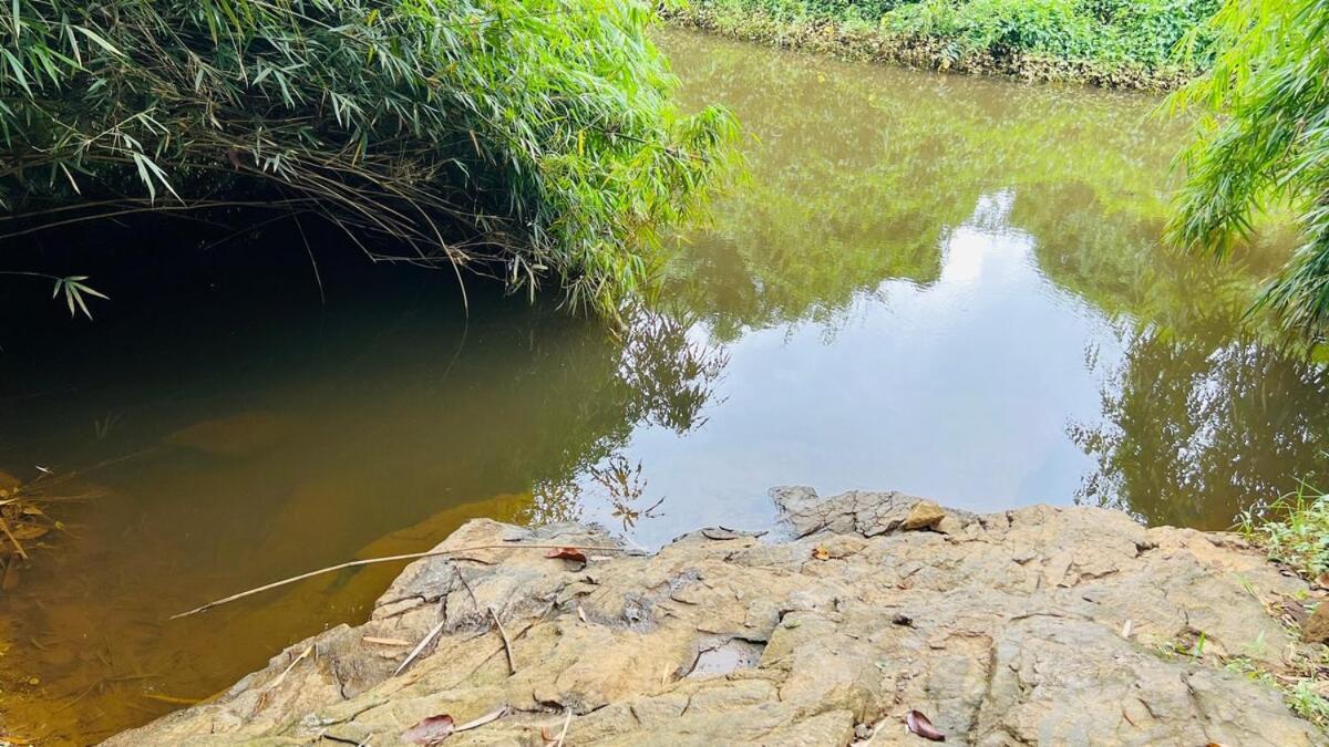 Wayanad Riverside Periya Luaran gambar