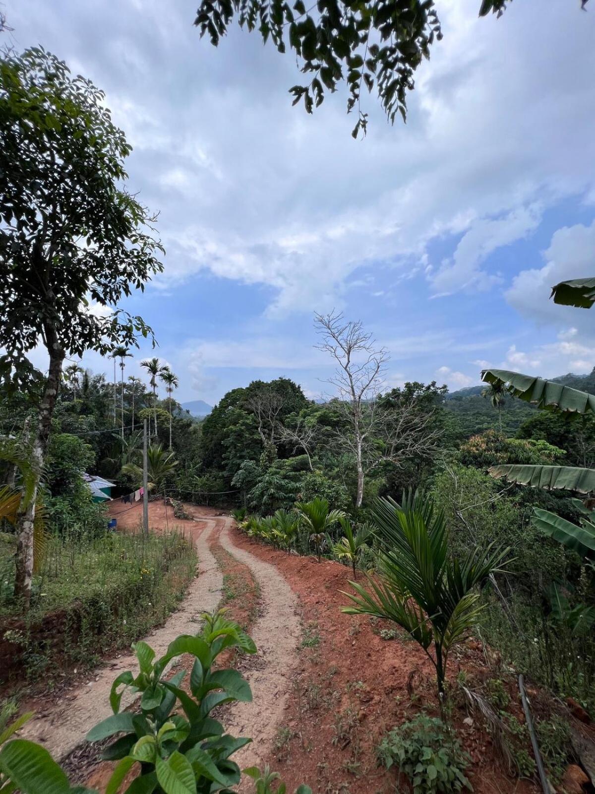 Wayanad Riverside Periya Luaran gambar