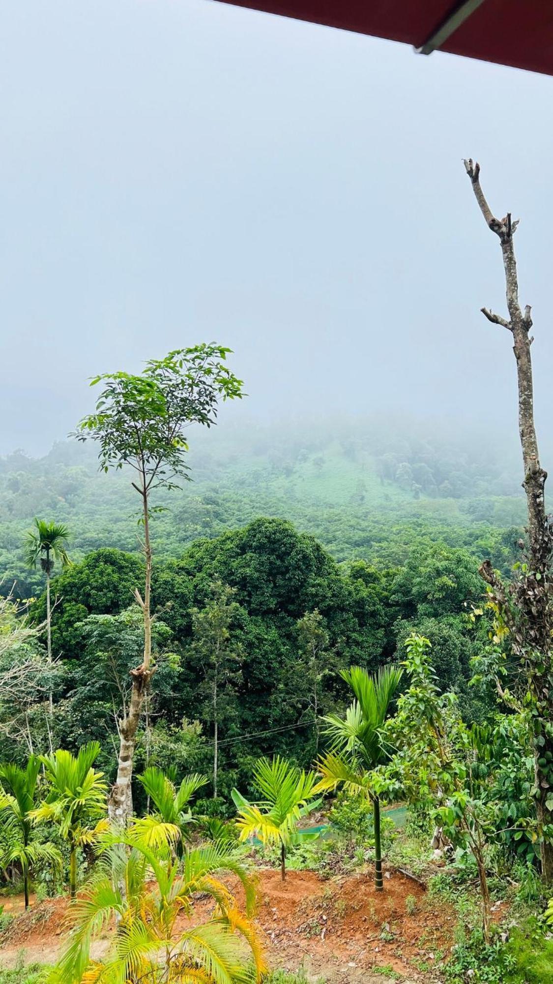 Wayanad Riverside Periya Luaran gambar