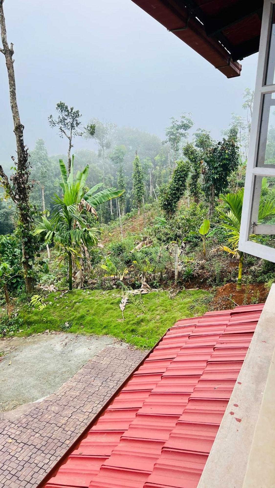 Wayanad Riverside Periya Luaran gambar